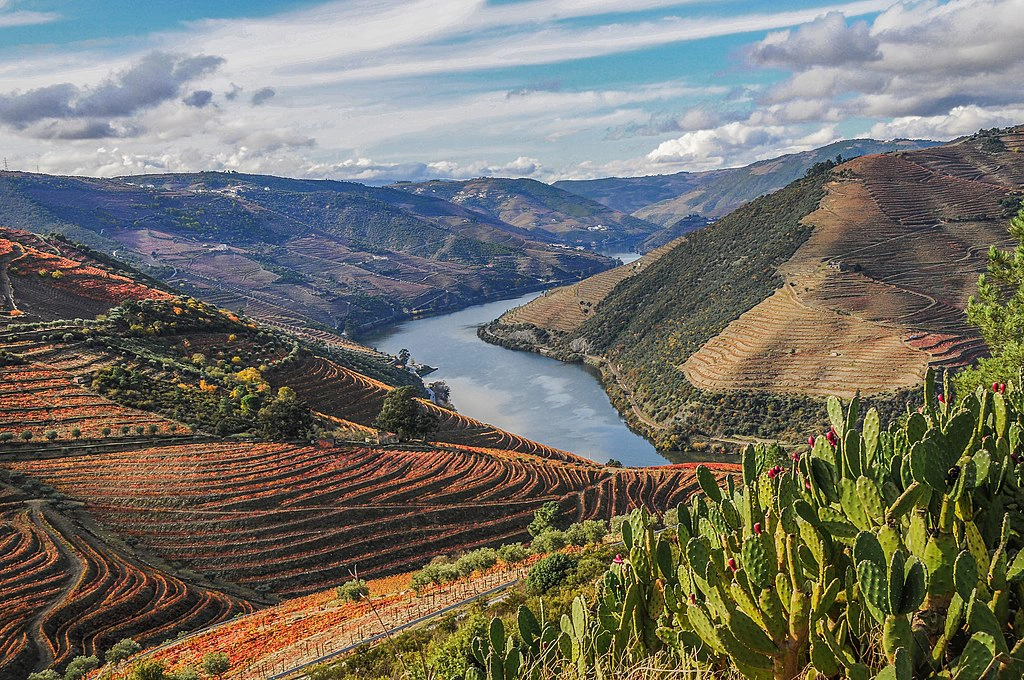 Vallée du Douro